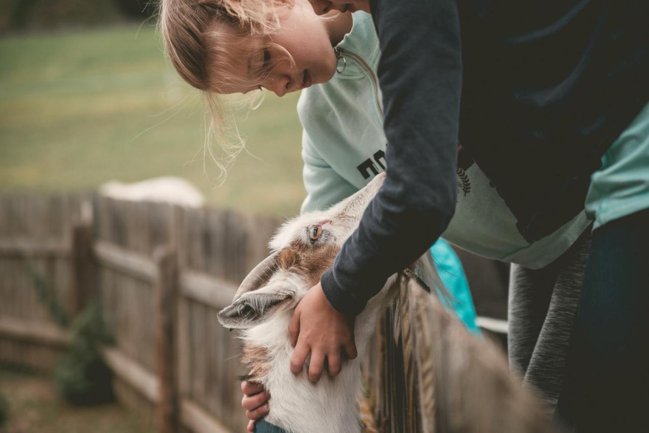 Replerhof Mit Kinderbetreuung Ab 3 Jahren 4* Prägraten